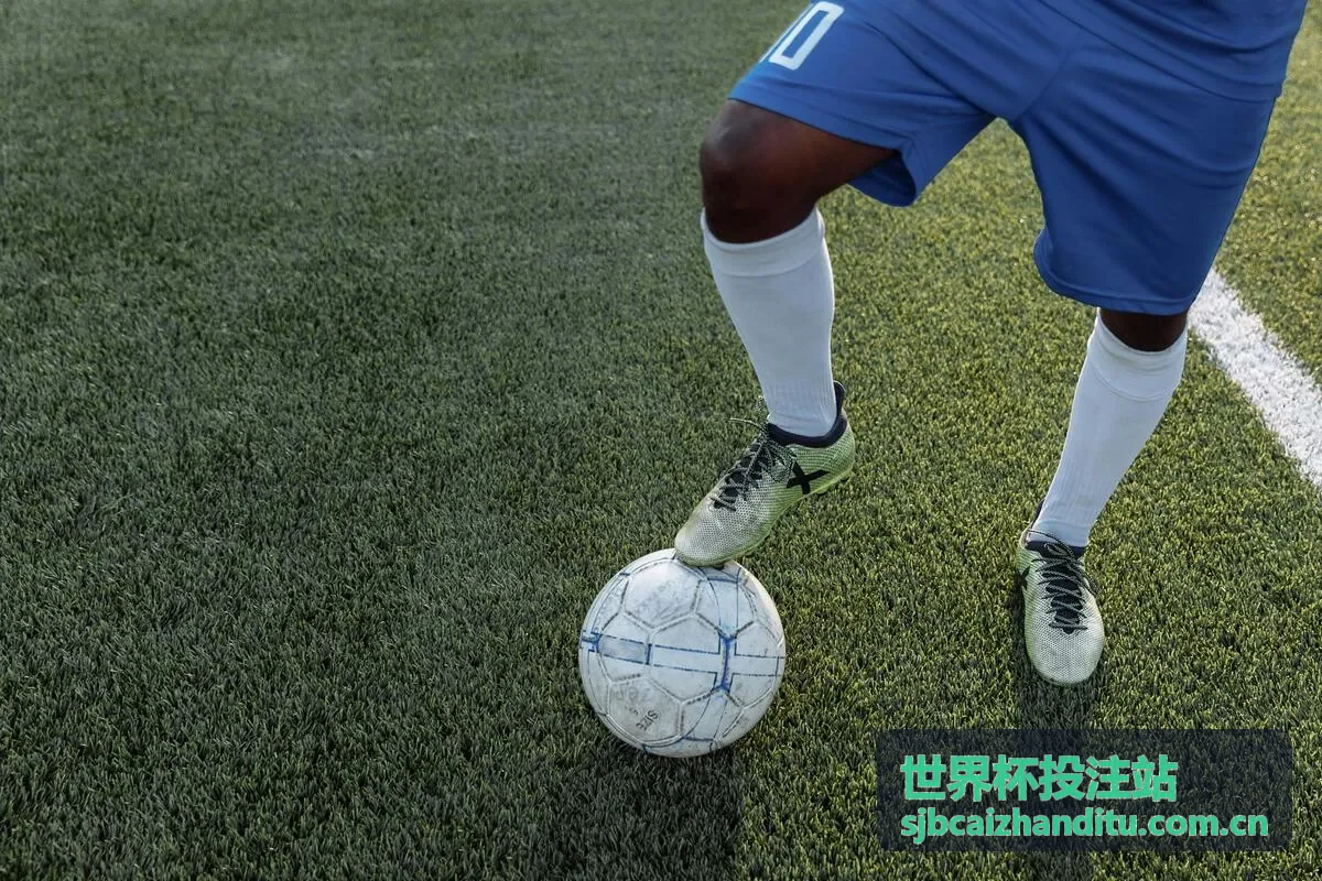 世界杯投注站赔率深度解读